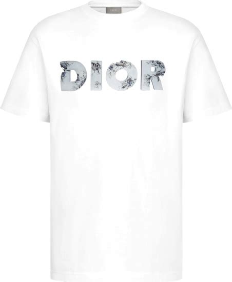 Dior x Daniel Arsham White Eroded Logo T